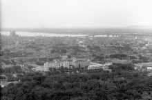 Black-and-white photograph of a cityscape with a river and bridge in the distant background. The immediate foreground contains only the tops of trees.