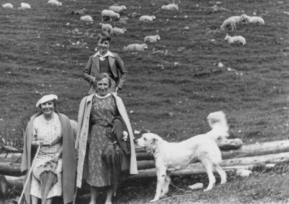 Black-and-white photograph of a young boy standing behind a white dog and two women, one of which sits on a pile of wooden logs. A flock of sheep roam in the background.
