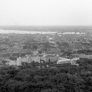 Photo en noir et blanc d'un paysage urbain, avec une rivière et un pont visibles au loin. Seulement la cime des arbres est visible à l'avant-plan.